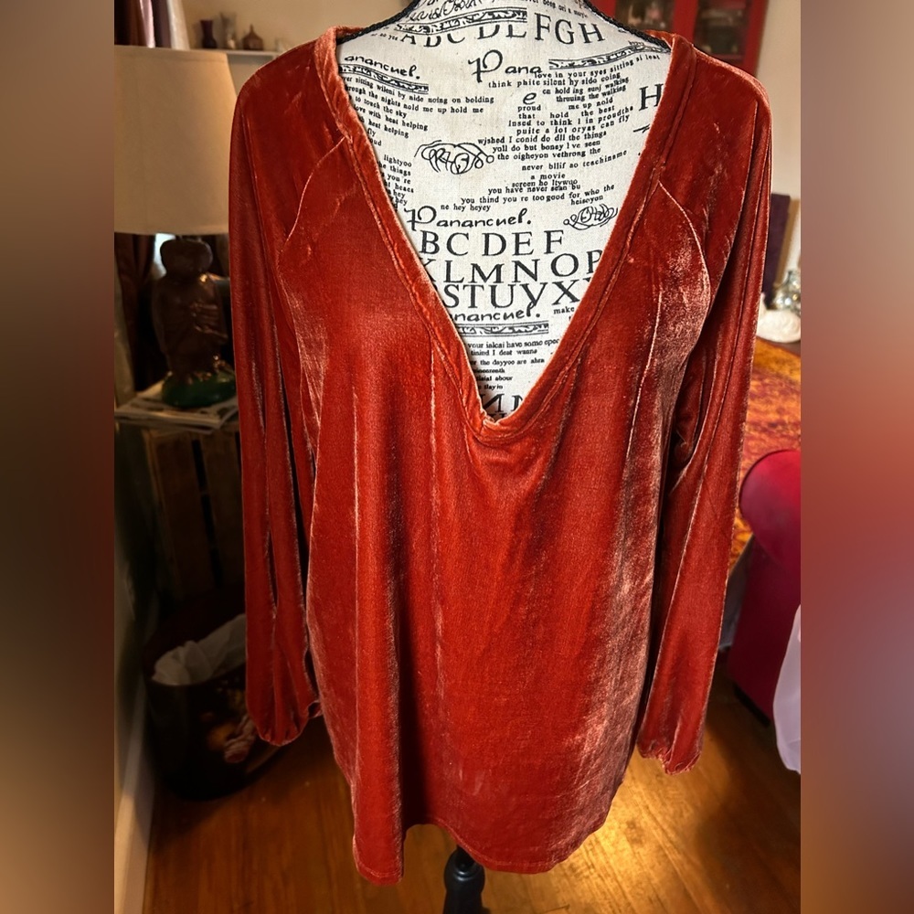 Dylan Rust Velvet Tunic - Picture 7 of 7